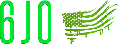  The Lighthouse Crisis Center Logo